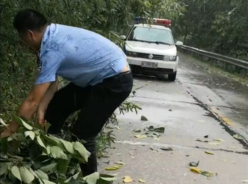 汉寿：突发暴雨树倒阻道 路过交警紧急清障