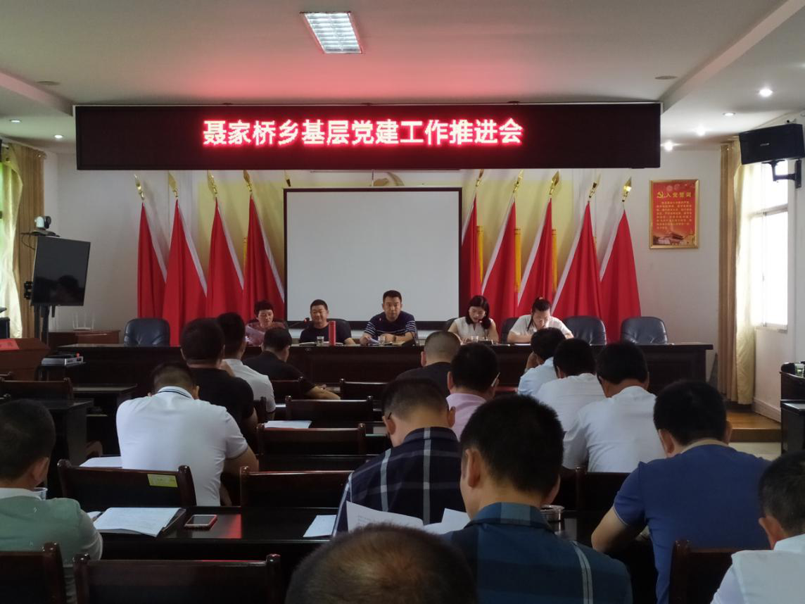 聂家桥乡：召开基层党建工作推进会