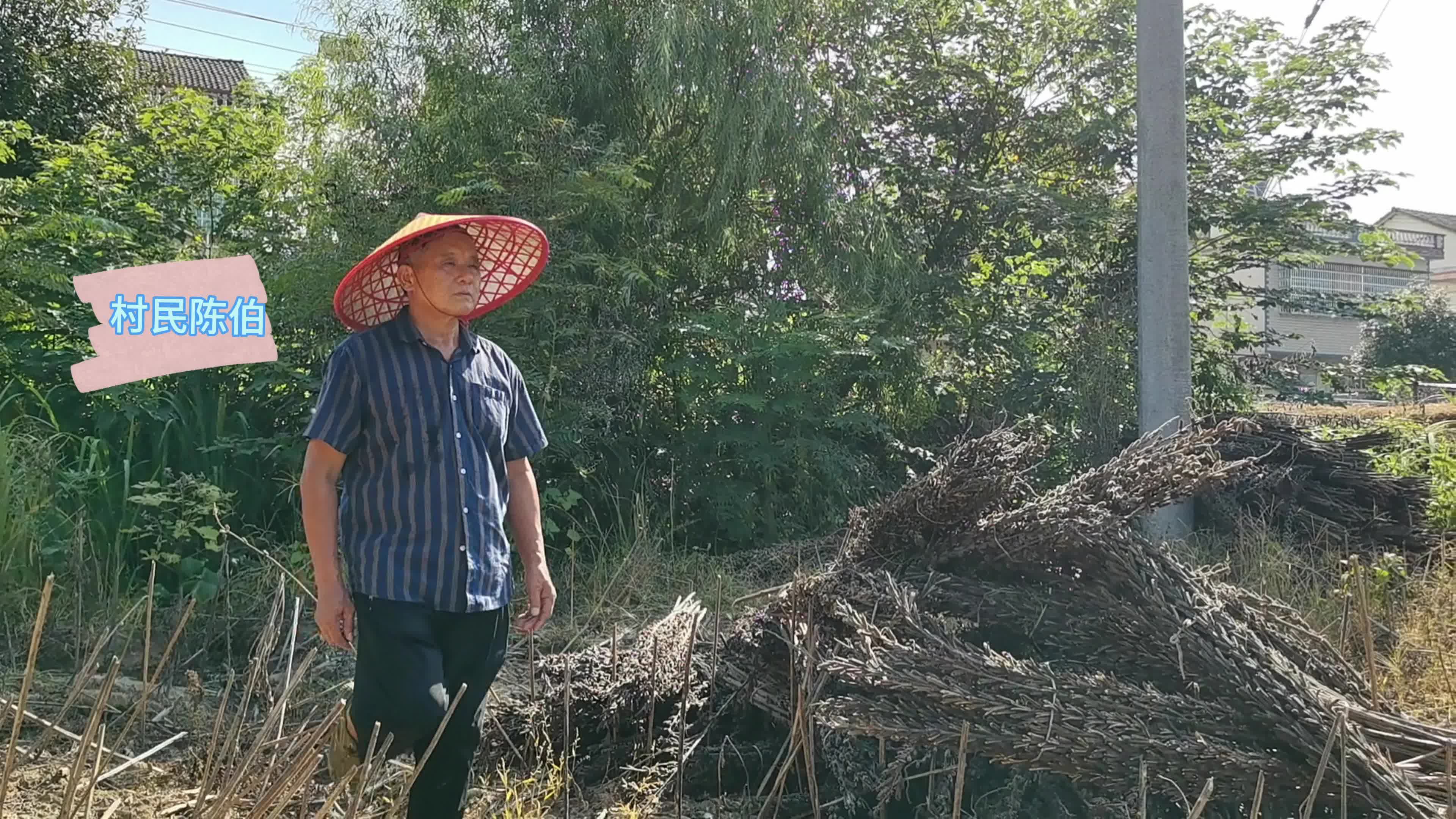 《各人看好自家田，确保露天不冒烟》