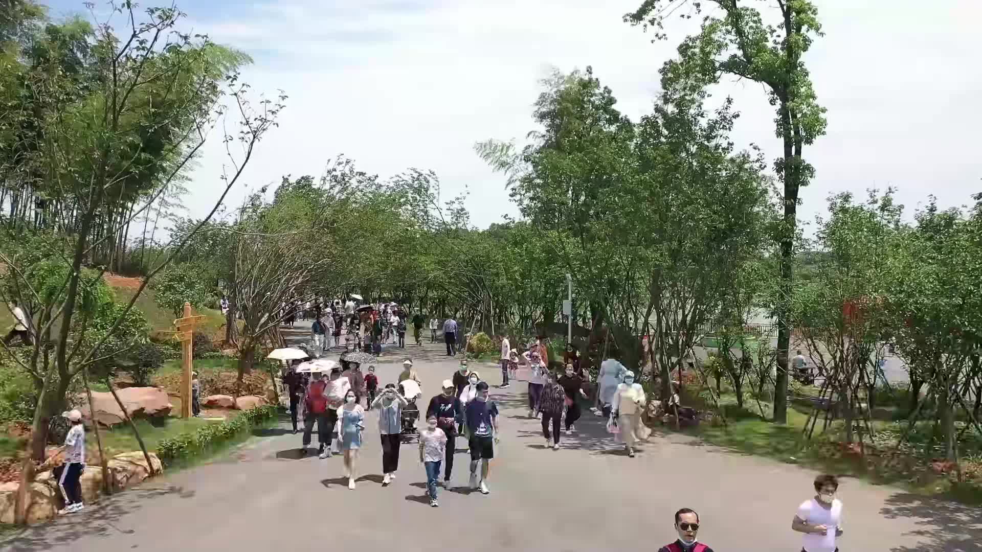 中秋佳节——常德野生动物世界游客火爆（一）