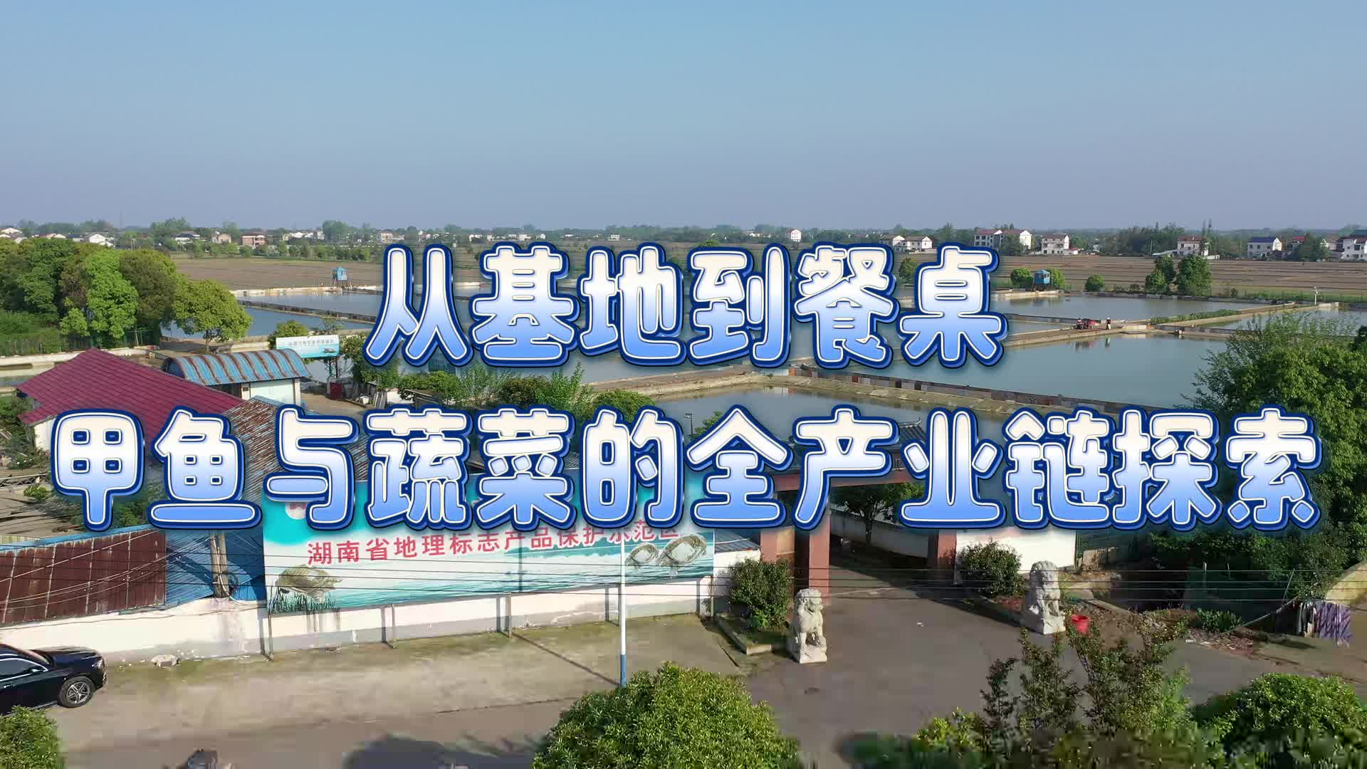 从基地到餐桌 甲鱼与蔬菜的全产业链探索