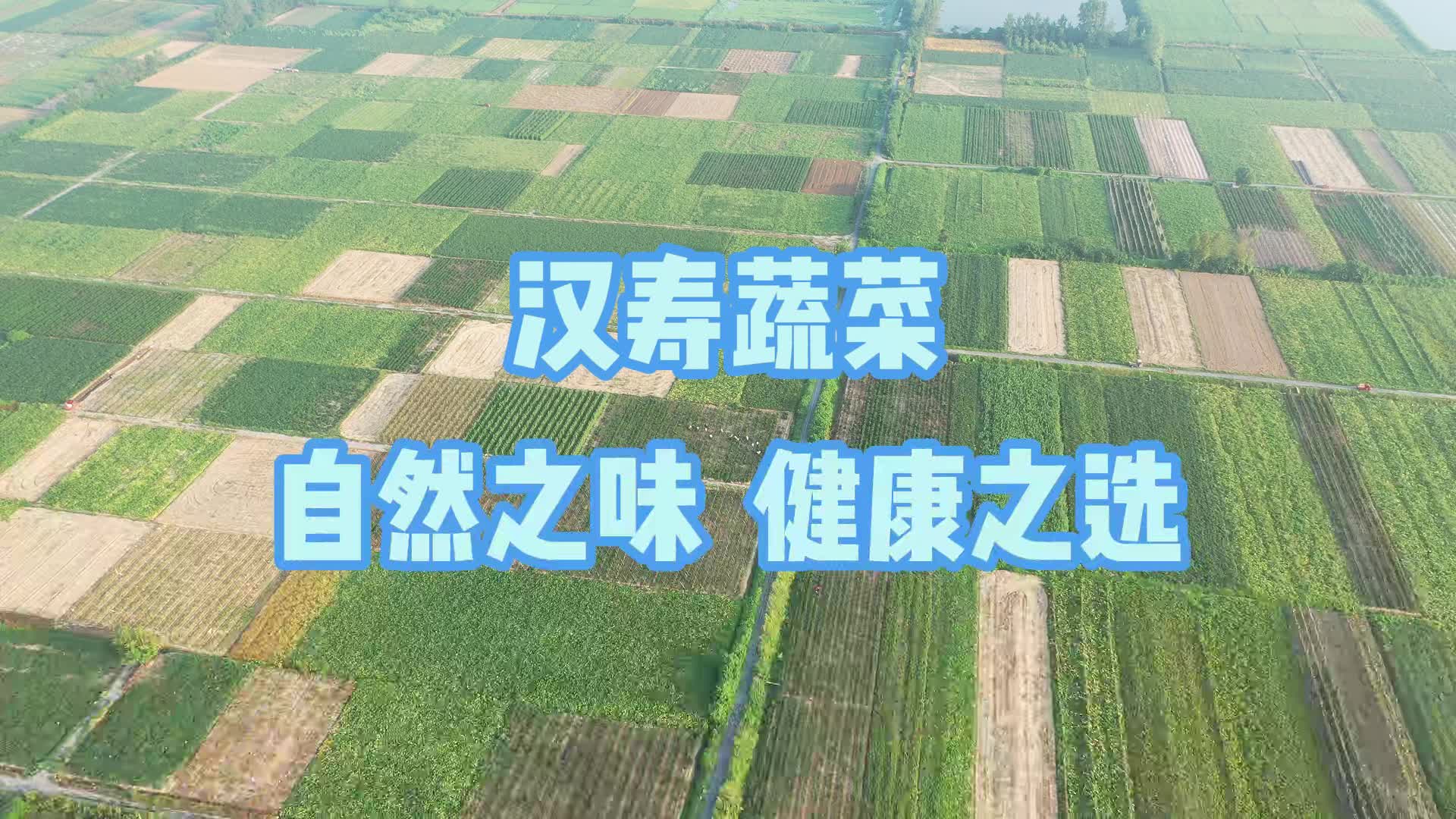 汉寿蔬菜 自然之味 健康之选