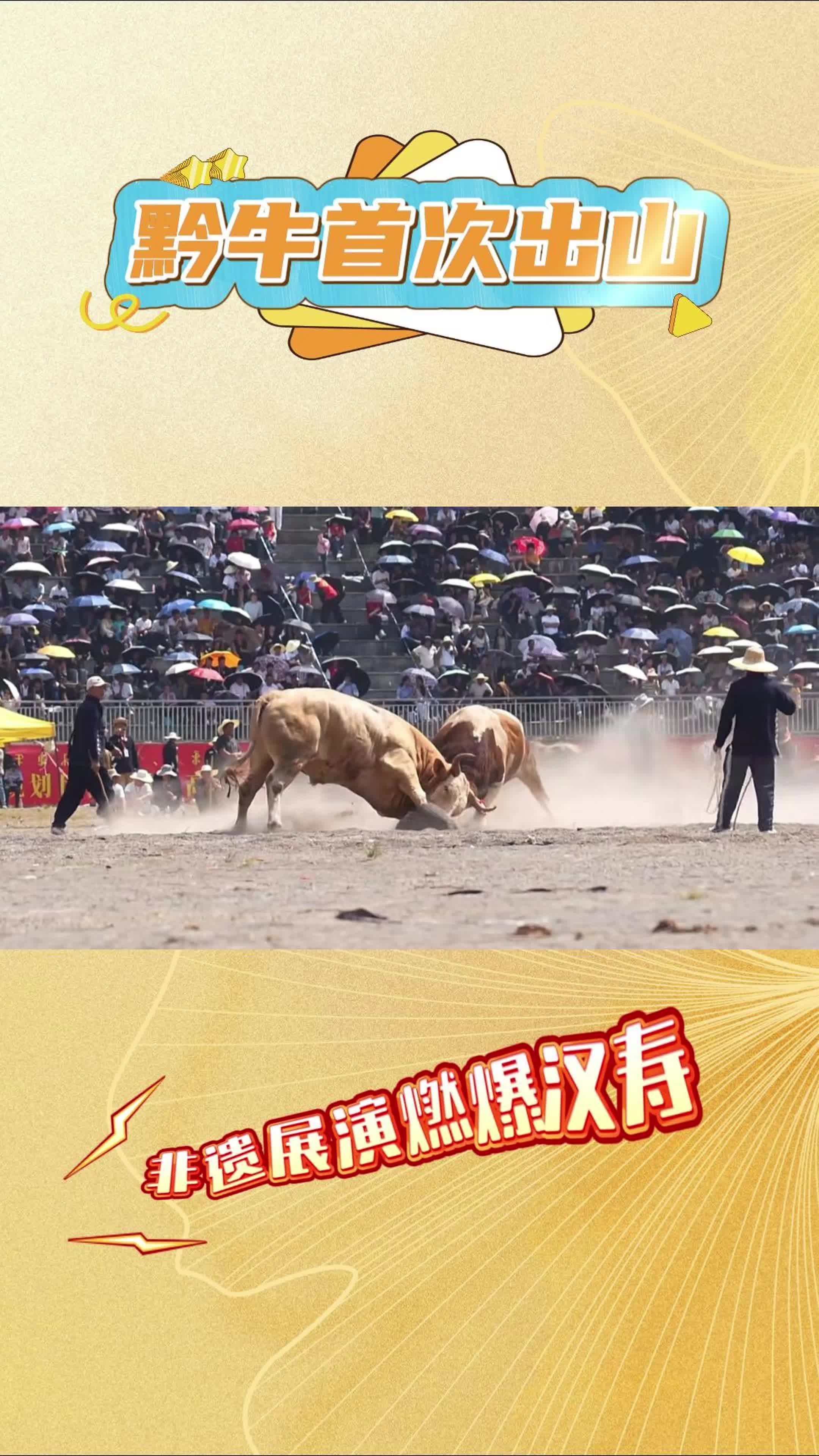 黔牛首次出山，非遗展演燃爆汉寿