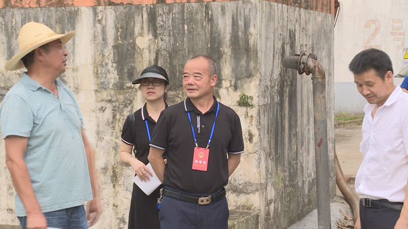【我为群众办实事】汉寿县人大代表集中视察入河排污口（三）