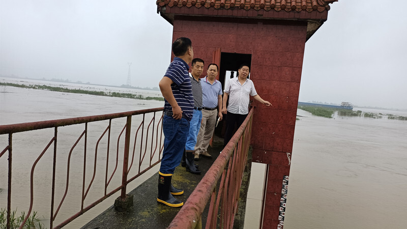 抓细抓实堤防工程排查 确保安全度汛