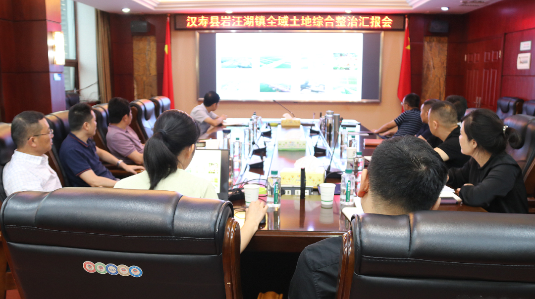 汉寿县岩汪湖镇全域土地综合整治项目建设方案汇报会召开