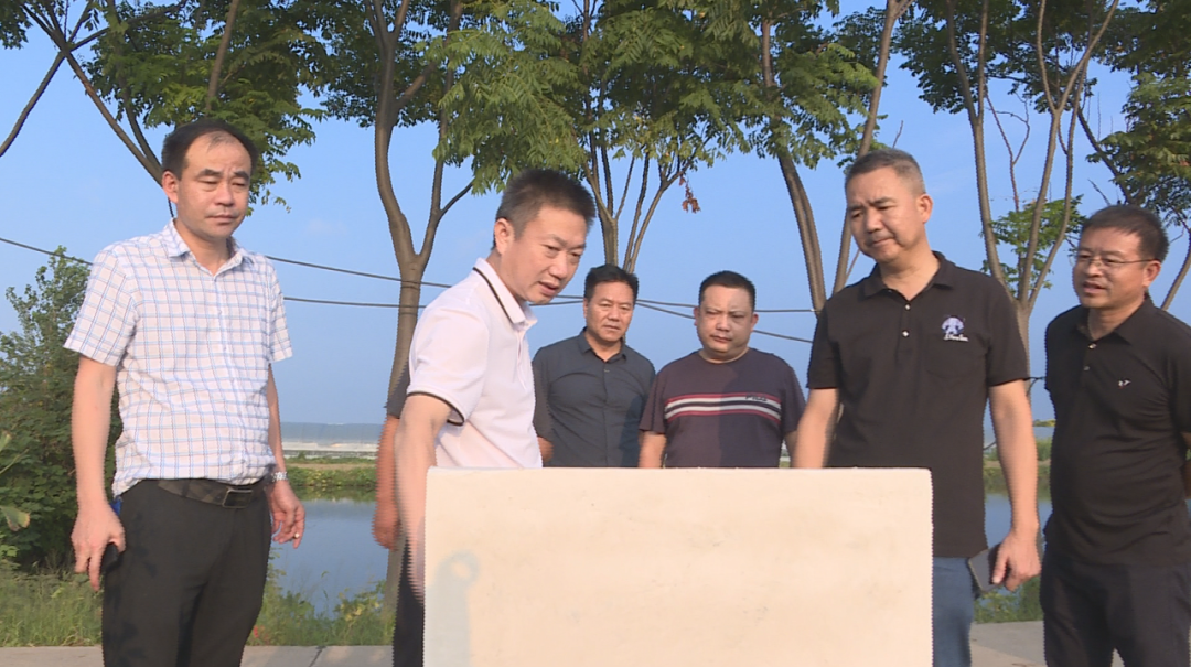 汉寿县领导宋万林调研围堤湖化肥减量示范基地建设情况