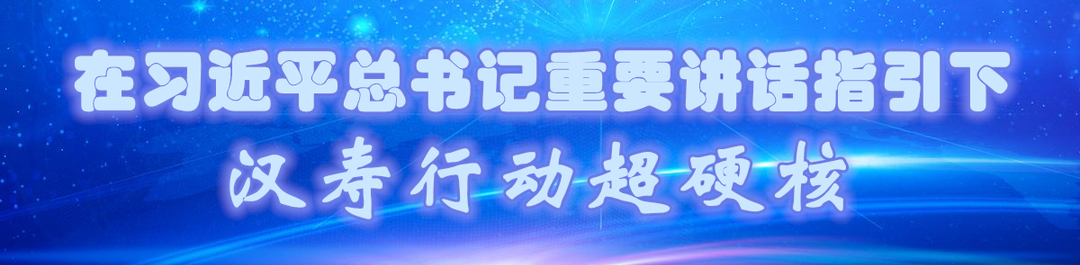 在习近平总书记重要讲话指引下