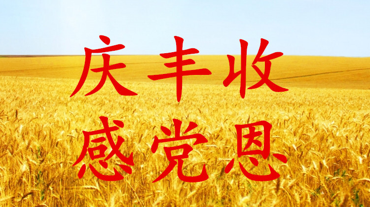 《庆丰收、感党恩》专题