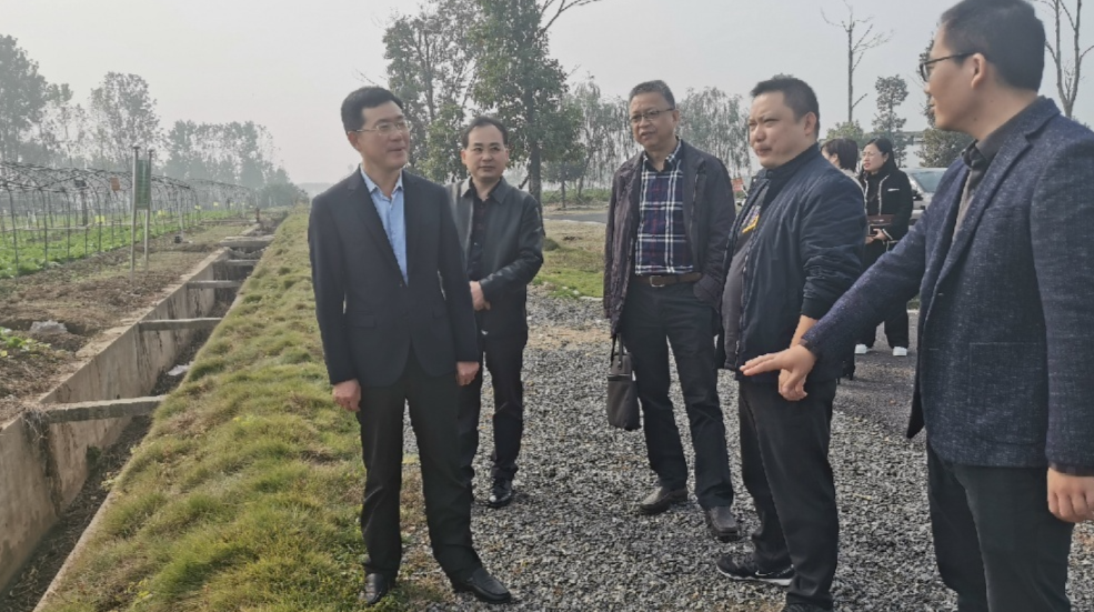 汉寿县领导佘斌调研委员工作室工作