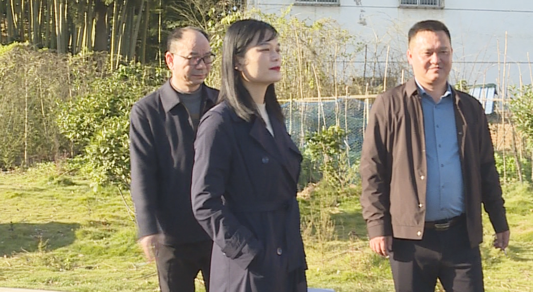 汉寿县领导朱向宇调研乡村振兴工作 走访结对帮扶户