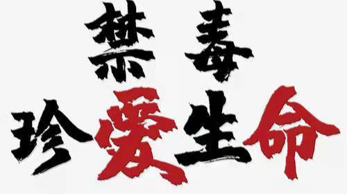禁毒防艾守护健康，青春不“毒”行