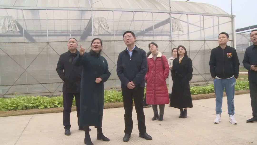 汉寿县领导佘斌调研化肥农药减量增效工作