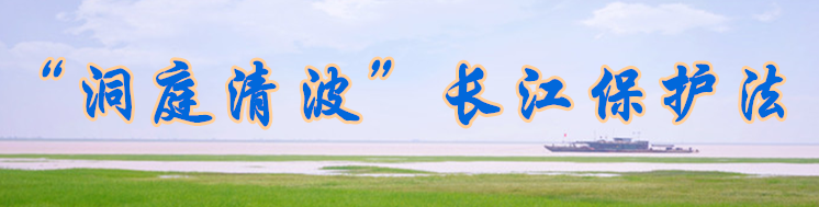 《“洞庭清波”长江保护法》专栏