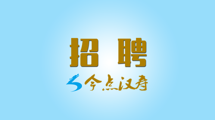 湖南有线汉寿网络有限公司招聘公告