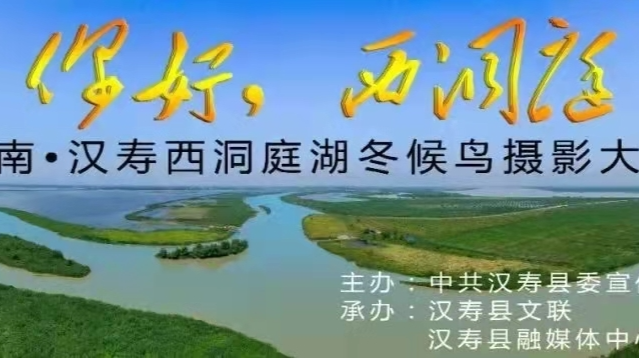 湖南·汉寿西洞庭湖冬候鸟摄影大赛