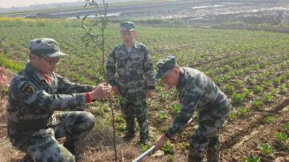 洲口镇开展三月“学雷锋”义务植树活动