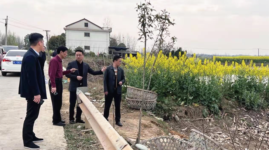 汉寿县领导何彦兵到岩汪湖镇督导农村集体资源清理巡察试点工作