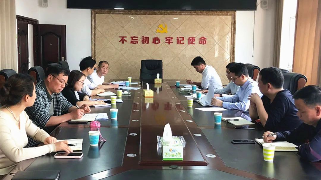 汉寿县领导何彦兵督导毛家滩回维乡农村集体资源清理巡察试点工作