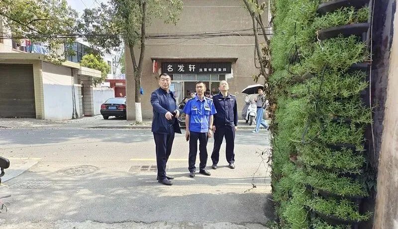 【三建三拆进行时】聚焦工作提质 凸显透绿效果