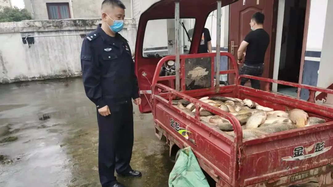汉寿公安：利剑出鞘，斩断非法捕捞产业链