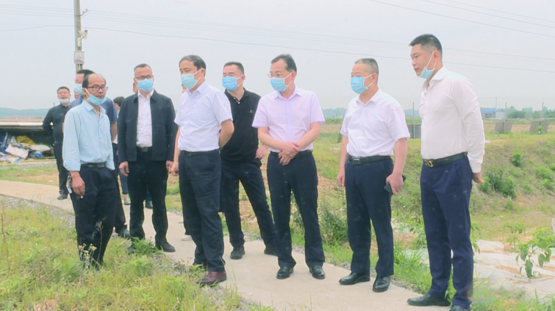 【大力推进龟鳖产业】湘阴县政协领导来汉寿考察龟鳖特色水产产业