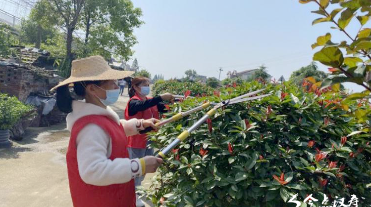 坡头镇巾帼志愿服务队接地气、受欢迎