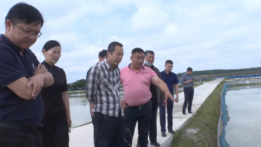 【大力推进龟鳖产业】刘少军院士来汉寿考察甲鱼养殖