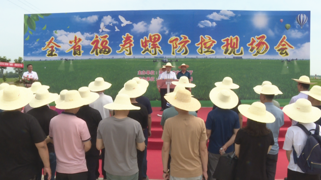 全省福寿螺综合防控现场会在汉寿召开