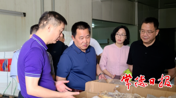 石玉林在汉寿考察时指出：凝心聚力汇聚发展力量