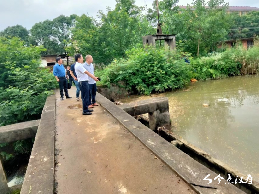 龙潭桥镇：掌握主动权   筑牢防汛“安全线”