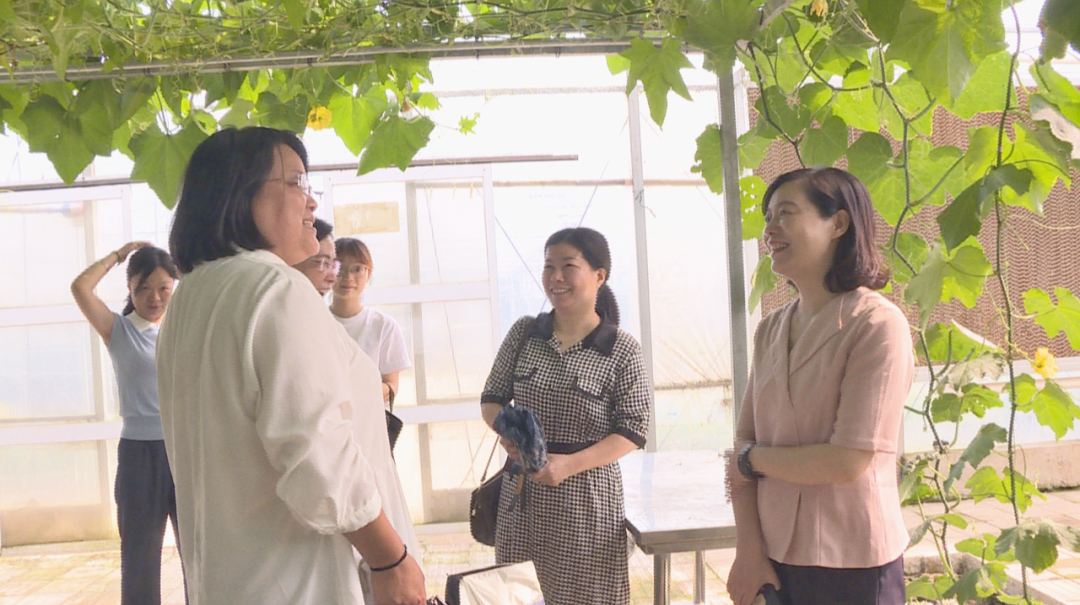 常德市妇联领导来汉寿开展妇情调研