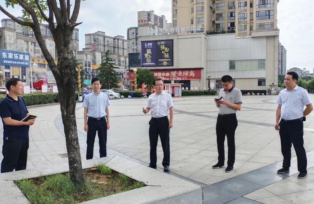 王时雨调研城区绿地建设