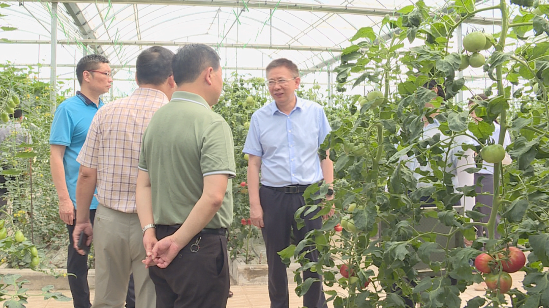 龚德汉来汉寿调研蔬菜产业发展