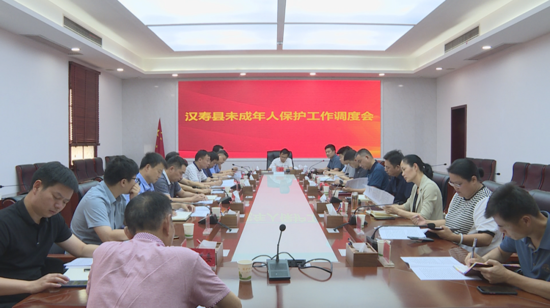 汉寿县未成年人保护工作调度会召开
