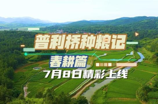 《普利桥种粮记》专栏