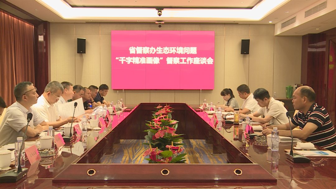 省生态环境厅来汉寿开展“千字精准画像”督察调研
