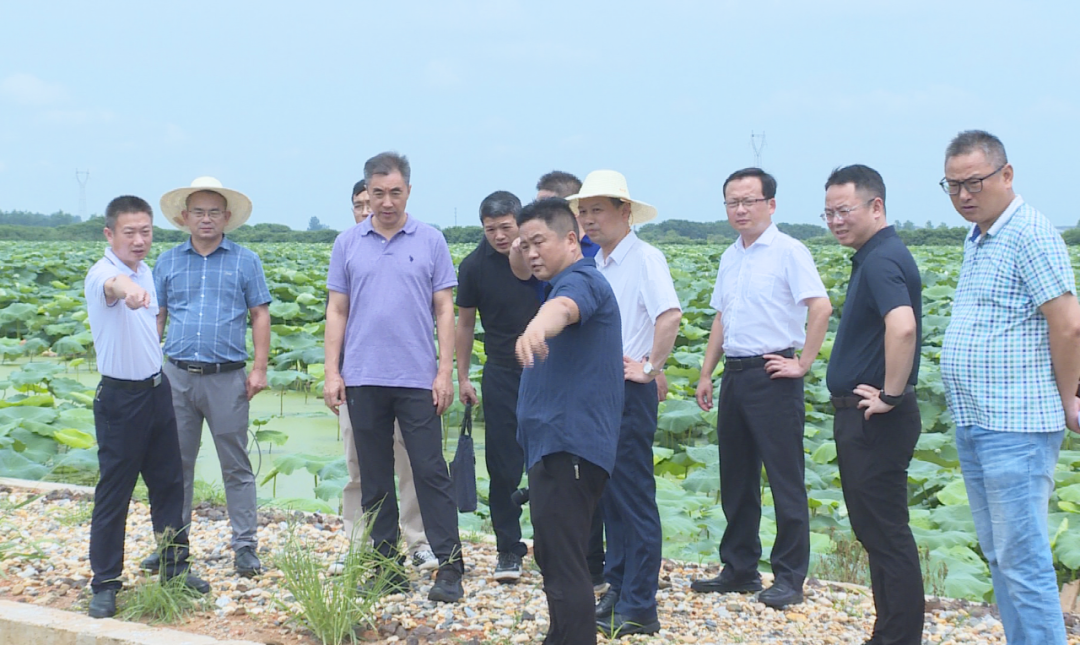 湖南省生态环境厅现场核查调研汉寿污染防治攻坚战“夏季攻势”