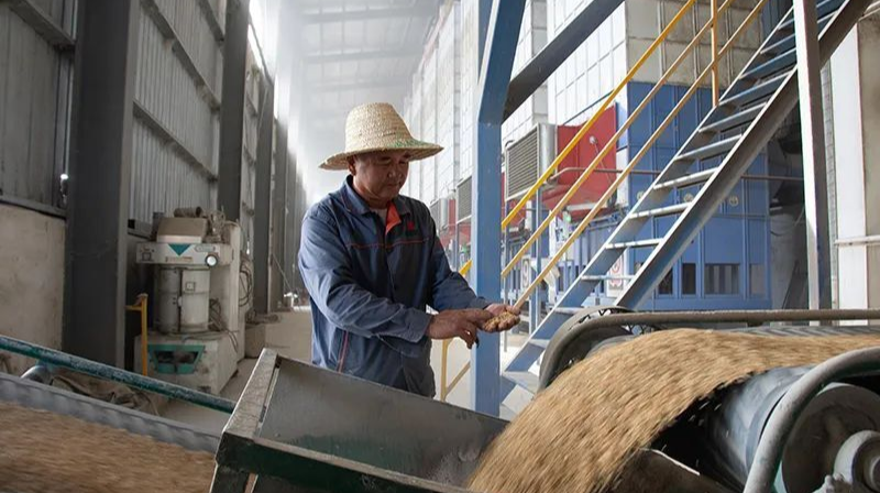 《中国政府网》一个月内连续2次夸赞汉寿