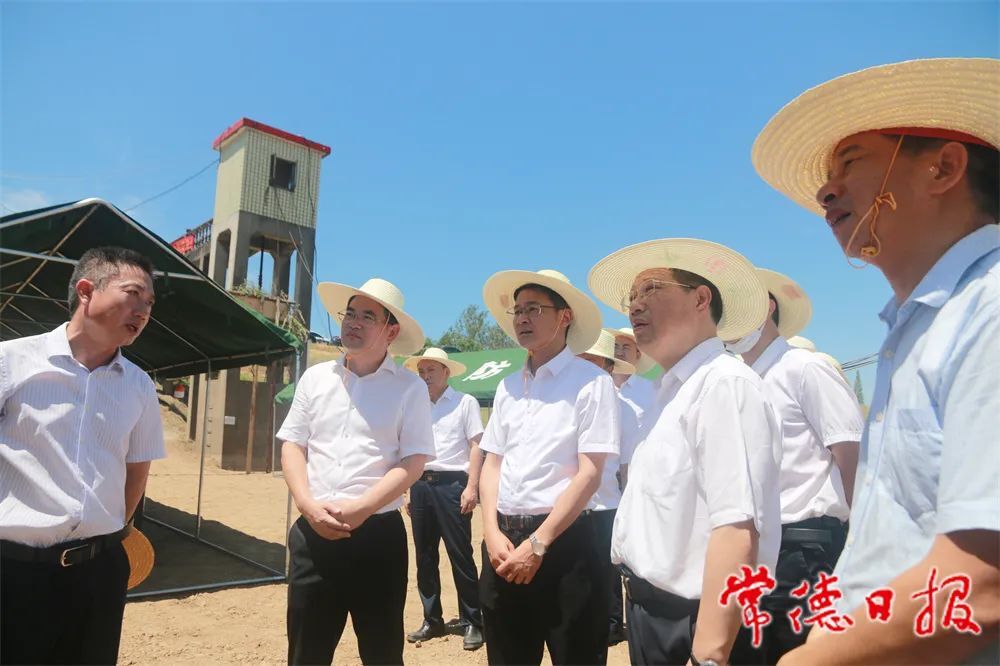 湖南省应急管理厅领导来汉寿督导调研安全生产、防旱抗旱等工作