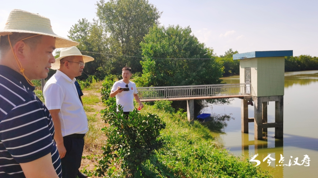 【抗旱保收】市生态环境局汉寿分局：抗旱救灾、生态保护“两手抓两不误”