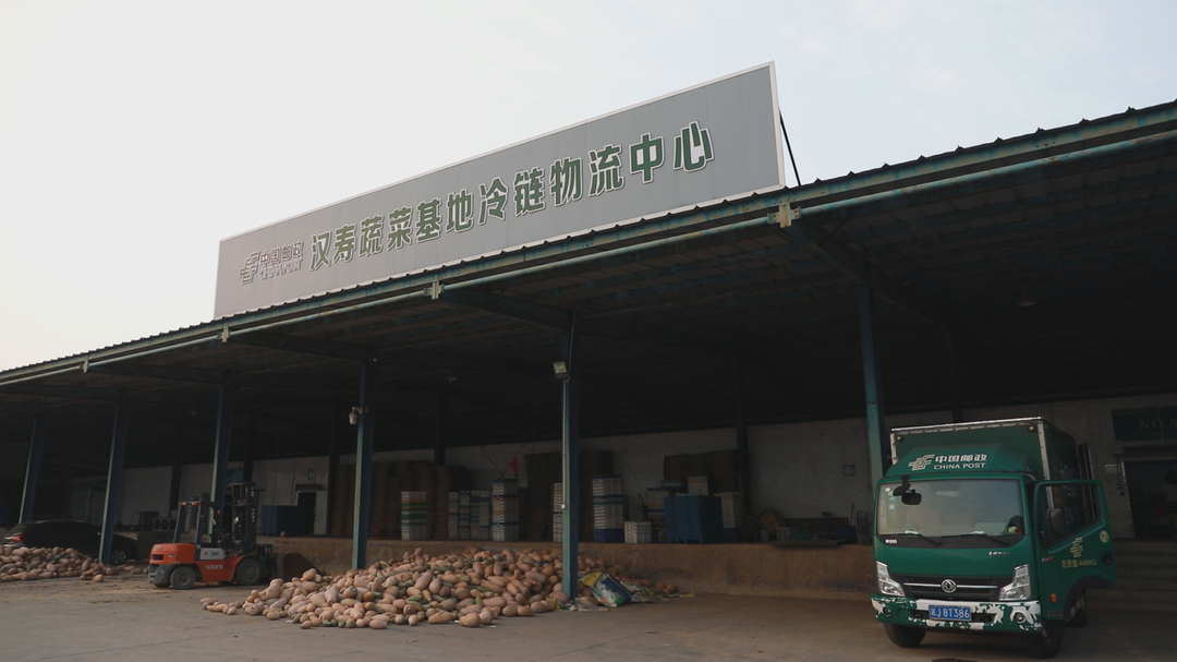 常德汉寿：全链条物流体系架起蔬菜产销直通桥梁