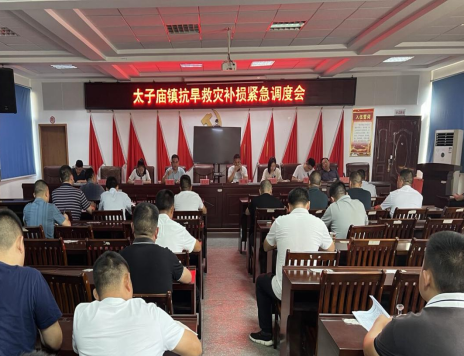 【抗旱典型】太子庙镇：群策群力 抗旱减灾保民生