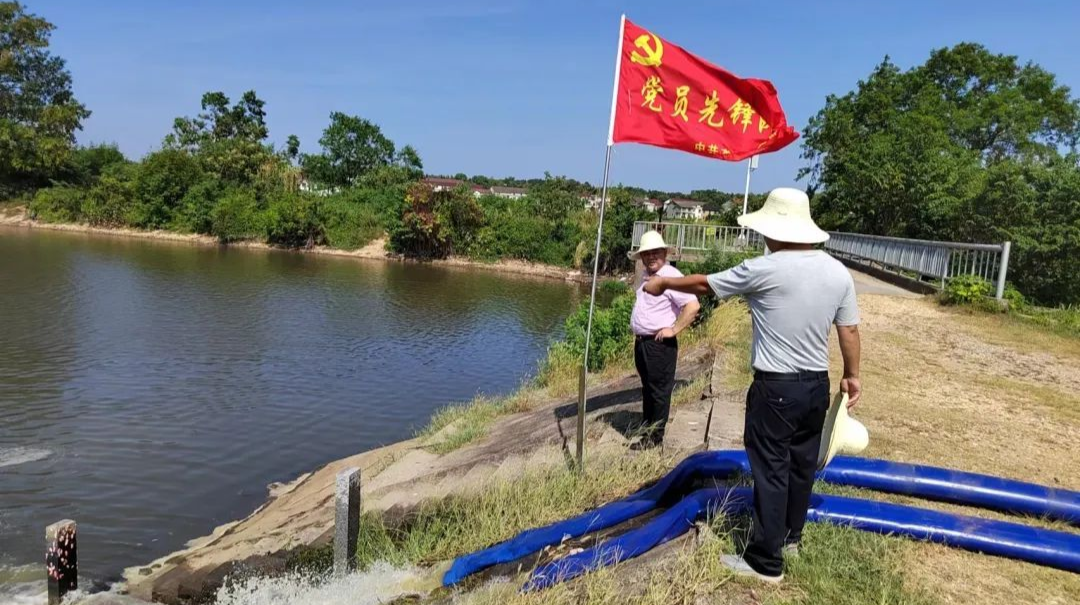 【抗旱典型】曾艺：心系群众 人民至上——力保5600余亩良田不减产