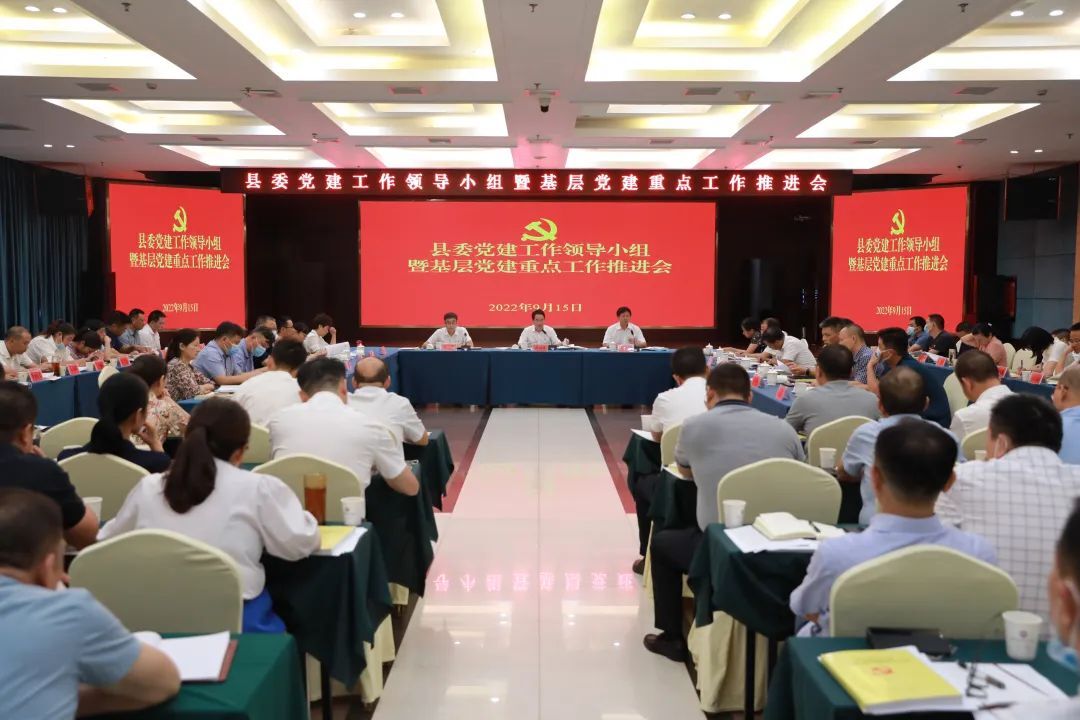 汉寿县召开县委党建工作领导小组暨基层党建重点工作推进会