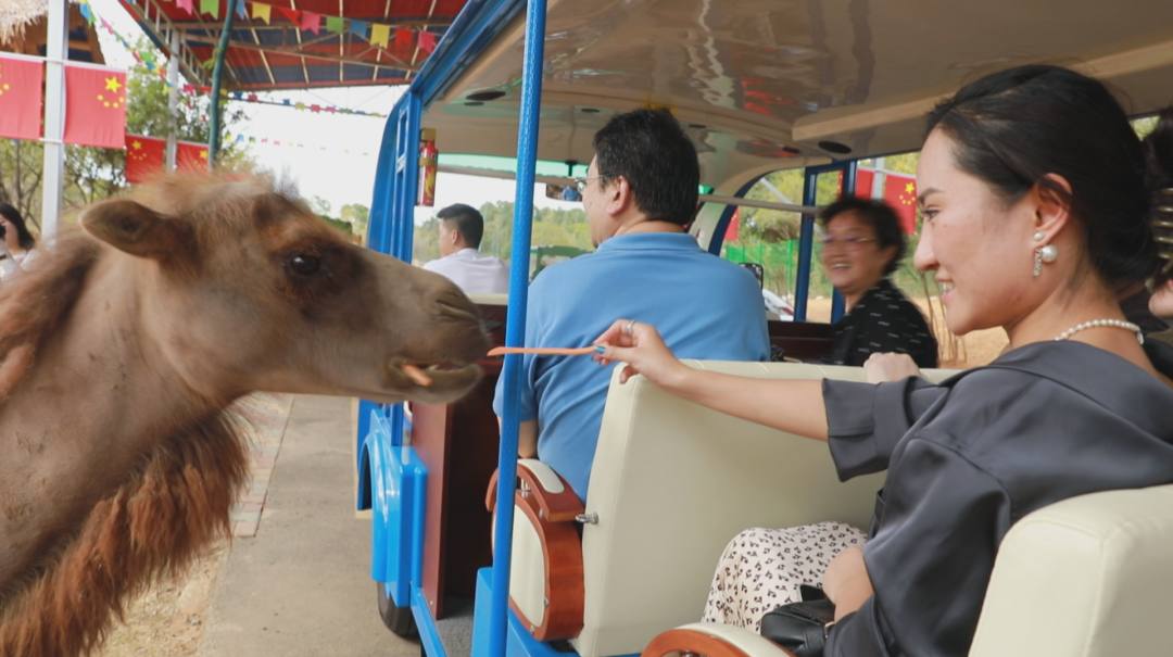 汉寿：生态旅游受热捧 野生动物世界有序运行