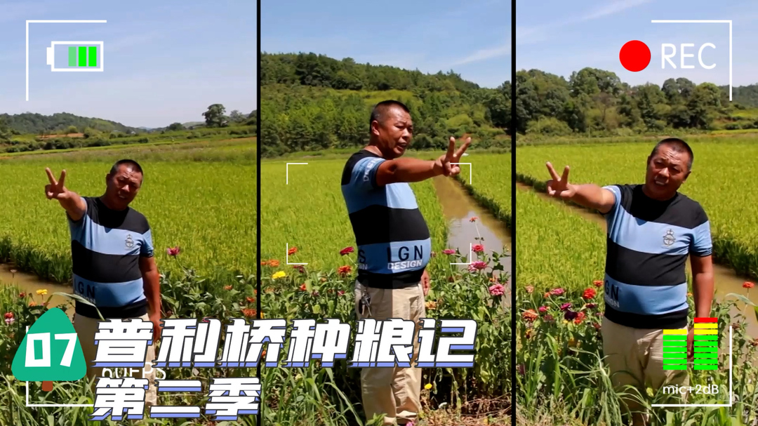 《普利桥种粮记·夏管篇》第七集：你以为直播带货是那样的，其实是这样的……
