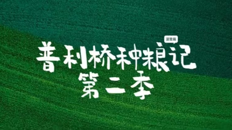 普利桥种粮记·夏管篇