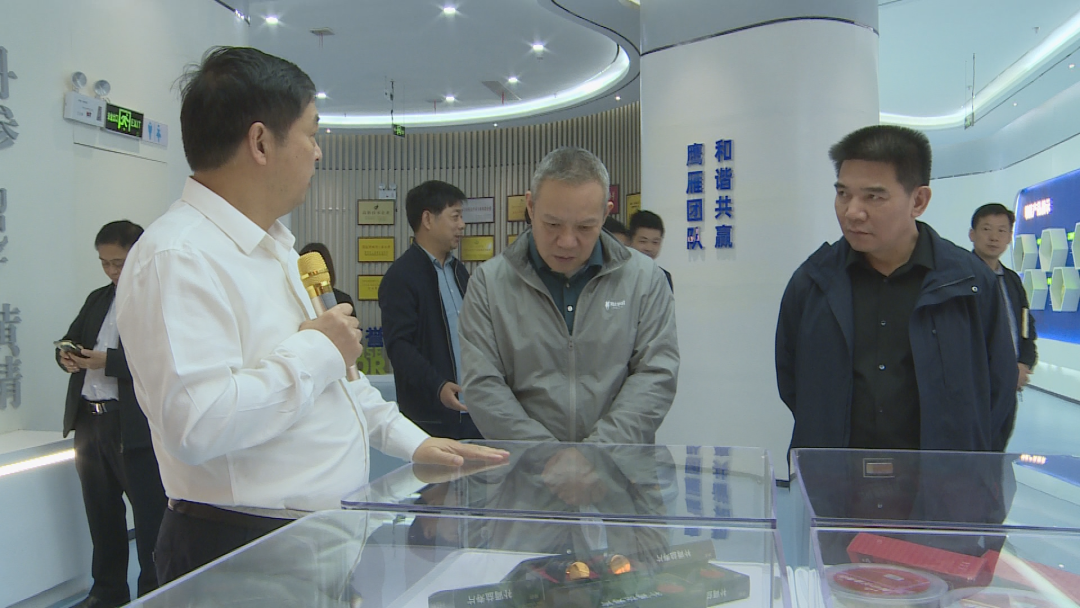湖南省工信厅来汉寿调研万名干部联万企“送政策、解难题、优服务”行动“回头看”工作