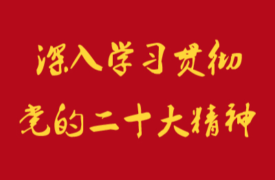 《深入学习贯彻党的二十大精神》专栏